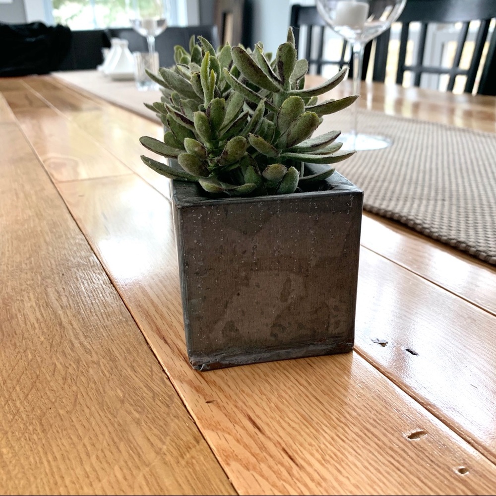 Chic rustic metal box plant - Picture 2 of 5
